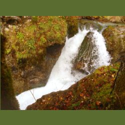 2012-10-17_Risserkogel (25)b.JPG